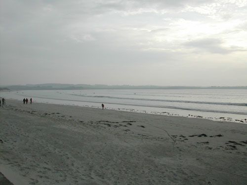 DSCN4415