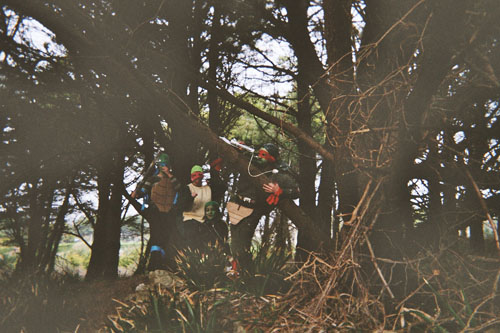 promenons-nous dans les bois