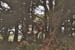 promenons-nous dans les bois