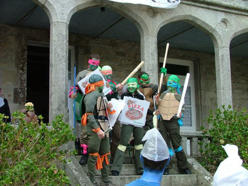 Tortues